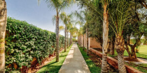 JAMES-the-BnB-Butler-Marrakech-full-service-riad-rentals-lmida-villa-batoul-nor.jpg