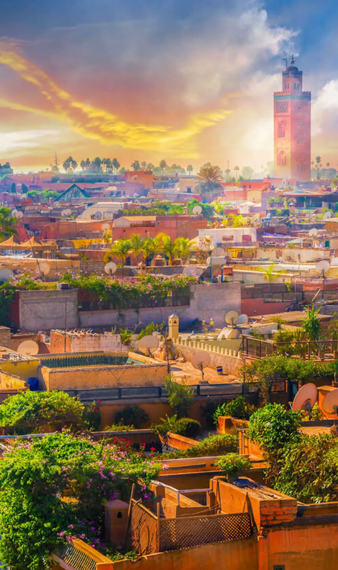 Marrakech, thank for your offer, luxury riad rental Marrakech, Riad Japani Marrakech, Riad Japani Marrakesch, riad soumaya marrakech, riad soumaya marrakesch, el fen marrakesch, concierge service marrakech