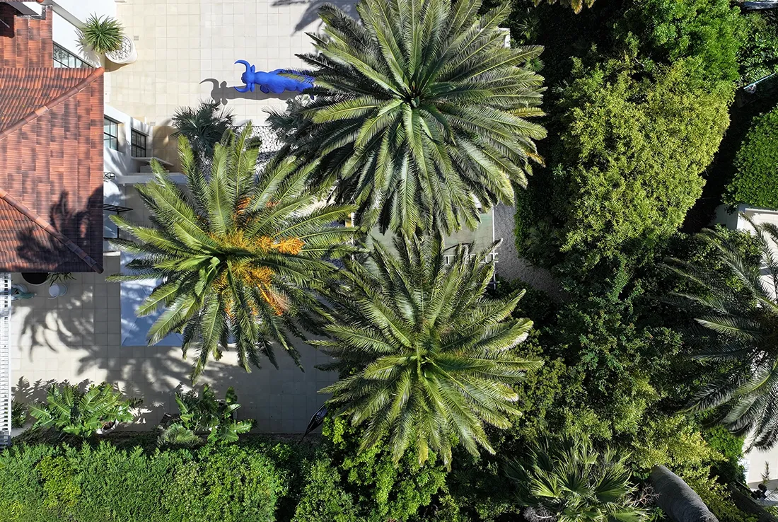 zoute exclusive, villa Bianca saint tropez, villa thalassa saint tropez, bo house saint tropez, charles ulysses st tropez, villa zelie st tropez, villa Printania st tropez, luxury villa st tropez, bo house villa