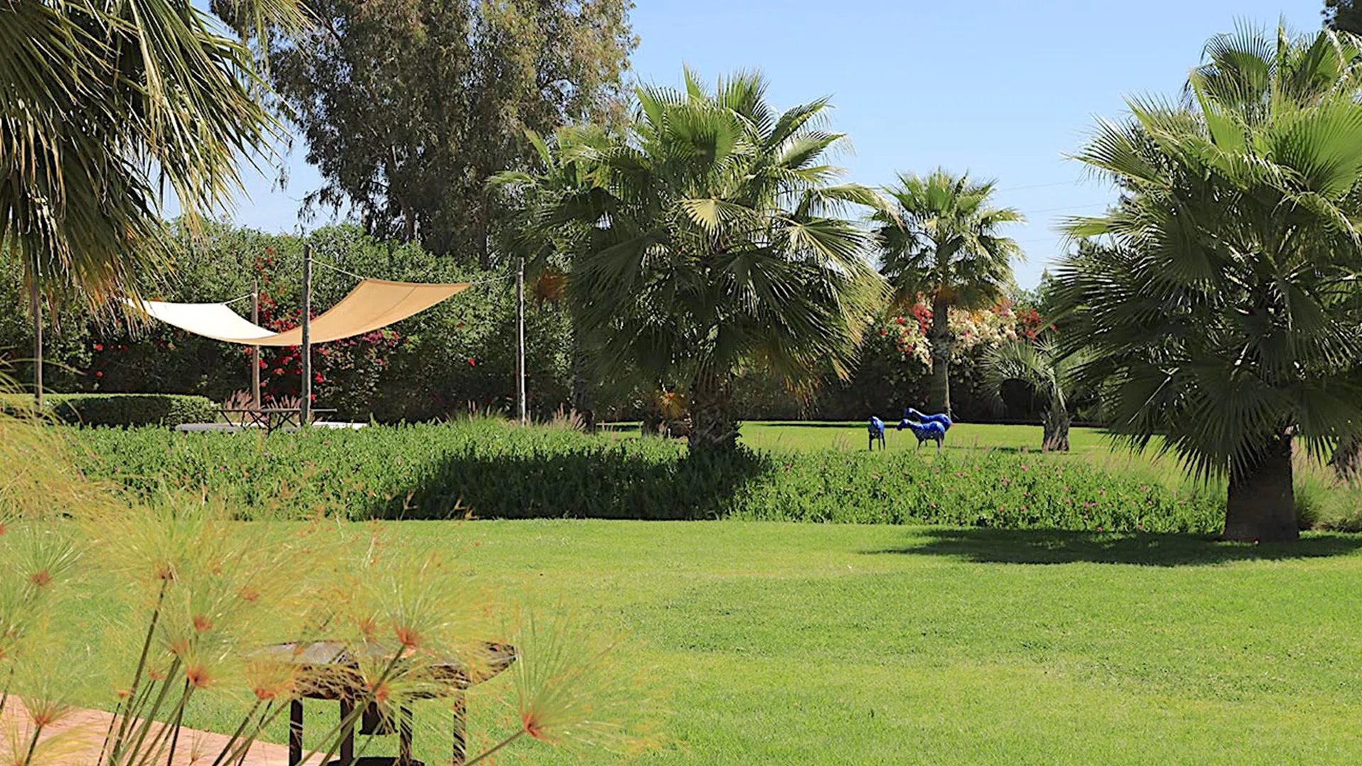 riad soumaya marrakech, riad with pool marrakech, james marrakech, luxury riad marrakech, james the bnb butler, riad jada japandi, riad japandi marrakech, collectionist marrakech, luxury rentals marrakech, luxury riad Marrakech, best riad Marrakech, riad with pool Marrakech, private riad Marrakech, exclusive riad Marrakech, luxury riad rental Marrakech, riad in Medina Marrakech, boutique riad Marrakech, riad with rooftop Marrakech, 5 star riad Marrakech, romantic riad Marrakech, family riad Marrakech, riad with spa Marrakech, traditional riad Marrakech, luxury riad Morocco, Marrakech riad private chef, riad with courtyard Marrakech, elegant riad Marrakech, luxury accommodation Marrakech, private riad for rent Marrakech, stylish riad Marrakech, designer riad Marrakech, all inclusive riad Marrakech, modern riad Marrakech, authentic riad Marrakech, riad with hammam Marrakech, luxury villa riad Marrakech, top riads Marrakech, group riad rental Marrakech, peaceful riad Marrakech