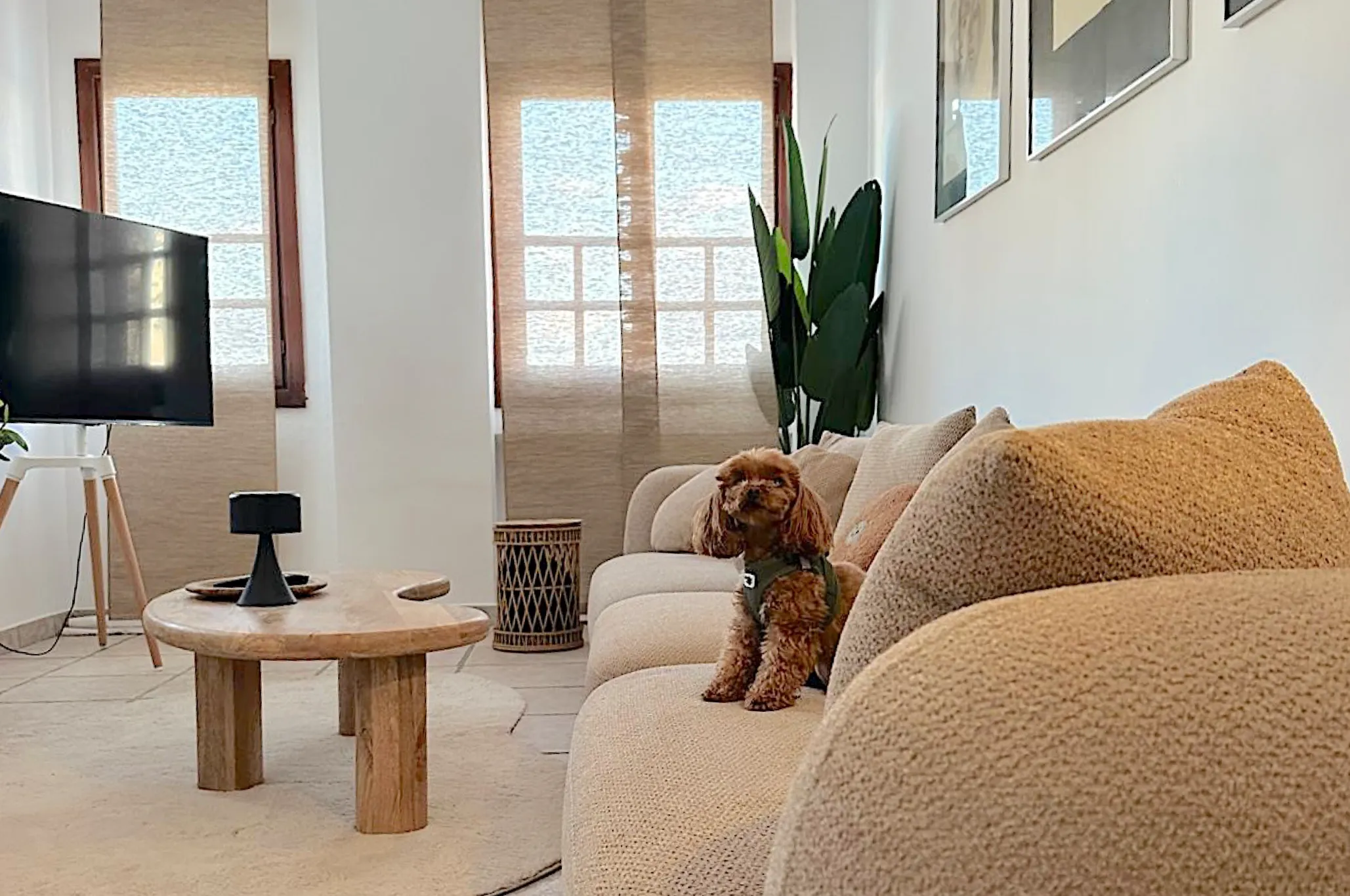 J007.SMB08, luxury villa Marbella, Marbella luxury villa rental, holiday villa Marbella, Marbella villa with private pool, luxury holiday villas Spain, luxury villa rentals Marbella Spain, Marbella beachfront villa, villa Marbella for rent, Marbella holiday homes, luxury villas Costa del Sol, Marbella villa with sea views, luxury villa holiday Marbella, Marbella villas with pool, private villa Marbella, luxury villa hire Marbella, best villas in Marbella, Marbella holiday villa rental, Marbella luxury vacation rental, luxury villa Marbella Golden Mile, Marbella villa close to beach, boutique villa Marbella, exclusive villas Marbella, Marbella villa with concierge service, luxury family villa Marbella, long term villa rental Marbella, Marbella villa with jacuzzi, Marbella villa with chef service, Marbella luxury accommodation, Marbella villa with garden, Marbella villa for weddings, Marbella villa with spa, luxury retreat Marbella, Marbella villa deals, summer villas Marbella, Marbella premium holiday villa, Marbella luxury stays, Costa del Sol luxury villa rental.